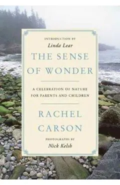 Sense of Wonder