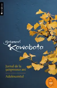 Jurnal de la saisprezece ani. Adolescentul (epub)