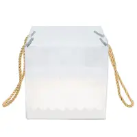 Cutii transparente cu bază albă și mâner (set 25 buc) - 27.5x11x9.5