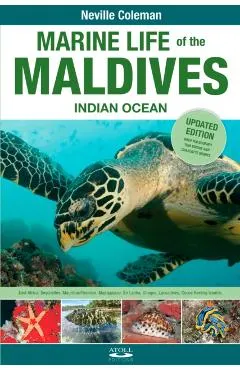 Marine Life of the Maldives