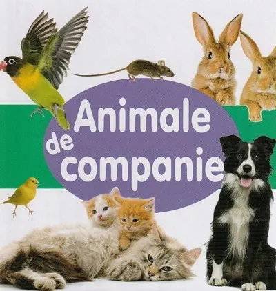 Animale de companie - Board book
