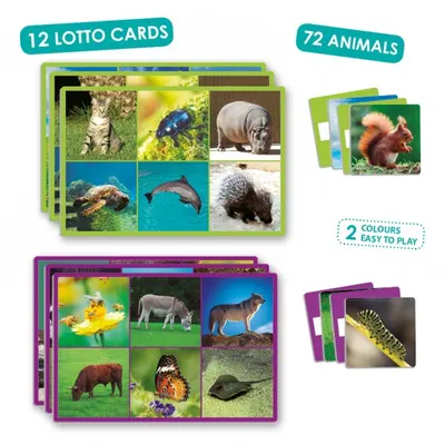 Joc loto cu 72 de animale