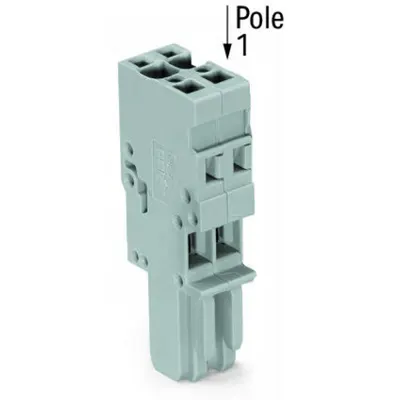 1-conductor female plug; 4 mm²; 2-pole; 4,00 mm²; gray