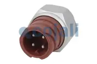 Senzor presiune ulei (M12x1,5mm, presiune 16 bar) potrivit MAN FOC 10.180 10.210 10.220 10.240 10.250 12.180 12.210 12.220 12.220 HOCL R-NL 12.240 12.240 HOCL-NL 12.250 12.280 12.290 13.220 HOCL R 13.