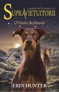 Supravietuitorii Vol.7: O haita dezbinata