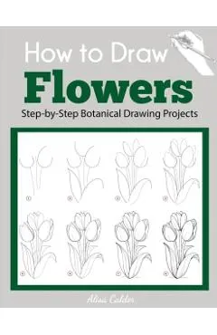 How to Draw Flowers: Step-by-Step Botanical Drawing Projects