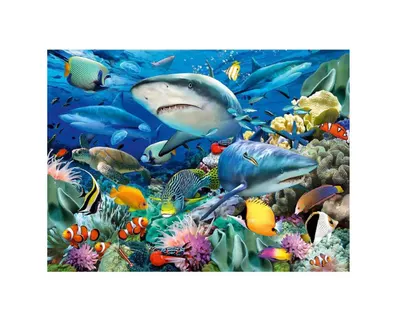 Puzzle clasic - Rechini - 100 piese