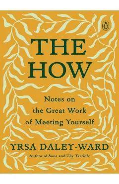 The How: Notes on the Great Work of Meeting Yourself