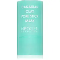 Neogen Dermalogy Canadian Clay Pore Stick Mask masca pentru curatare profunda pentru micsorarea porilor 28 g