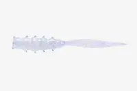 Vierme Jackall Good Meal Skinny 1.5 Inch Goodmeal Glow 8 Buc / Plic