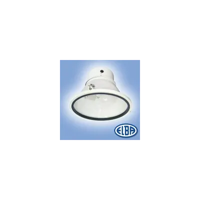Corpuri de iluminat industrial, IEVS 02 1X250W, IEV 02 IP54, ELBA