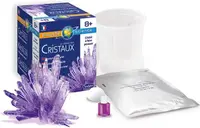 Kit educativ - Crystal Growing Kit - Violet