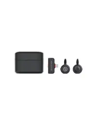 Hollyland LARK M2S Duo Wireless Lavalier Microphone with USB-C Plug - Default Title