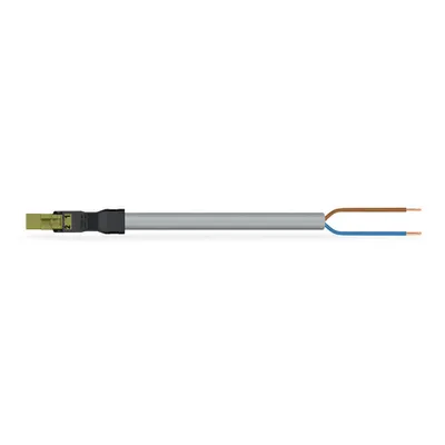 pre-assembled connecting cable; Eca; Plug/open-ended; 2-pole; Cod. B; Control cable 2 x 1.0 mm²; 1 m; 1,00 mm²; light green