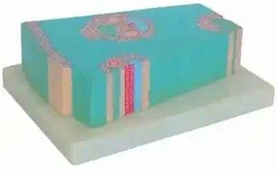 Set educațional Gelsonlab - Model de tulpină monocotiledonată