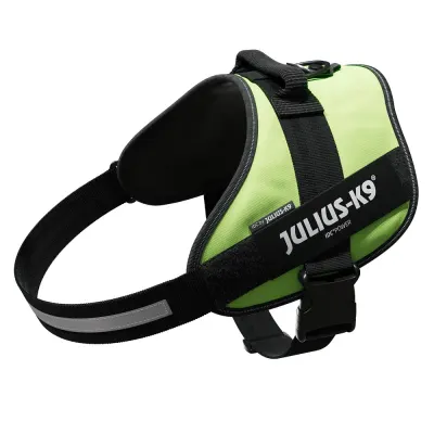 Ham Julius-K9 IDC Power - 3XL Neon
