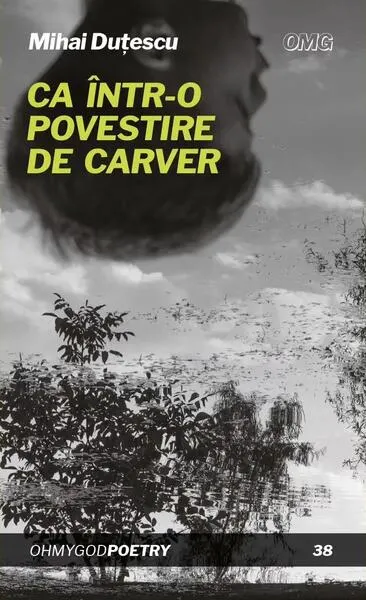 Ca într-o povestire de Carver - Paperback brosat