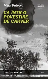 Ca într-o povestire de Carver - Paperback brosat