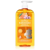 PAPOUTSANIS Karavaki Shine & Vitality șampon pentru un par stralucitor si catifelat