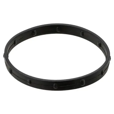 Garnitura, carcasa galerie admisie ELRING 633.240