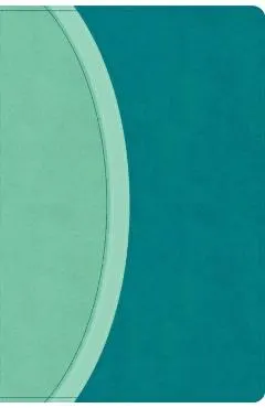 CSB Rainbow Study Bible, Teal Leathertouch (Limited Edition) -