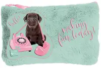 Penar de plus Paso Studio Pets - Albastru