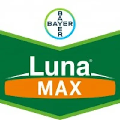 Luna Max 275SE 10 ml fungicid sistemic si de contact, Bayer, fainare (vita de vie) - Default Title