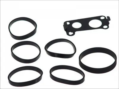 Set garnituri galerie admisie MERCEDES C T-MODEL (S203), C (W203), CLK (C209), E T-MODEL (S210), E T-MODEL (S211), E (VF210), E (VF211), E (W210), E (W211), G (W461), G (W463), M (W163) 2.7D dupa 1999