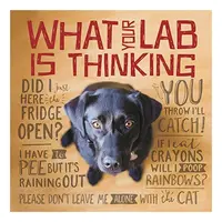 What Your Lab is Thinking