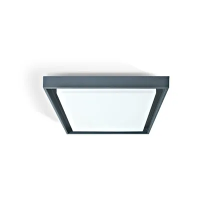 Larry-S SMD LED 30W 3000K, 2500lm, 100-240V IP54,antracit