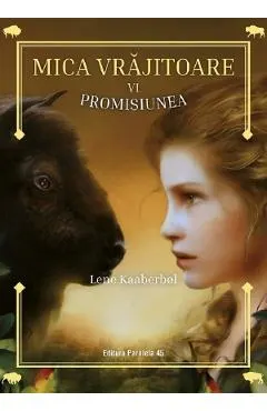 Mica vrajitoare Vol.6: Promisiunea