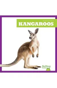 Kangaroos