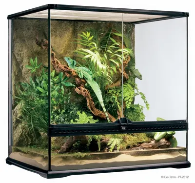 Exo Terra Terariu Sticla 60X45X60 cm PT2612