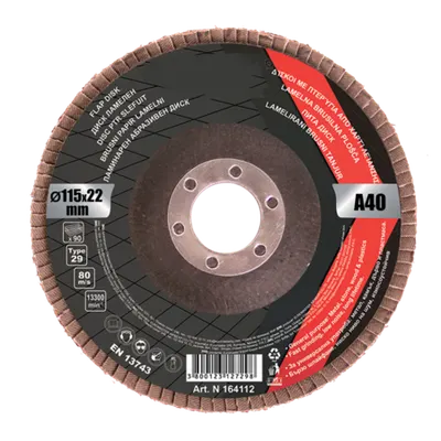 Flap Disc 125x22.2mm А-80