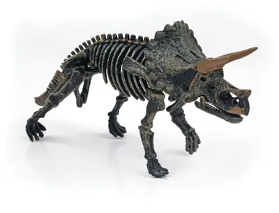 Construiește-ți propriul dinozaur 3D