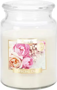 Lumânare parfumată Bispol Premium - Special Day, 500 g