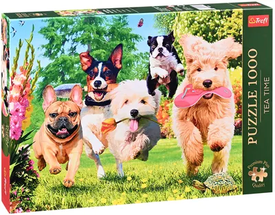 Puzzle Trefl din 1000 de piese - Vin farsorii!