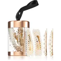 BrushArt Gift for You Pearl hair clip set agrafe de par