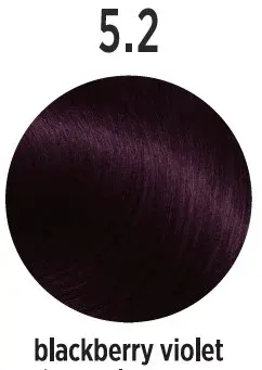 Vopsea de par Profesionala ELEMENT Blackberry Violet 5.2 - 100Ml