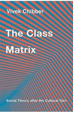 The Class Matrix: Social Theory After the Cultural Turn