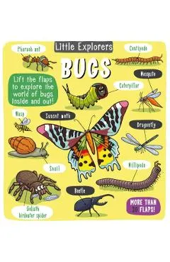 Little Explorers: Bugs