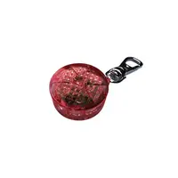 Trixie Flasher pentru Caini si Pisici 2.5cm Rosu