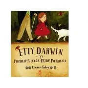 Etty Darwin si problema celor patru pietricele