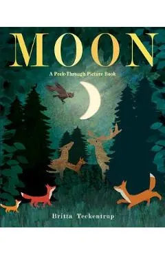 Moon: A Peek-Through Picture Book