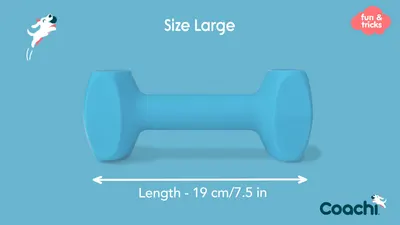Coa Jucarie Dresaj Coachi Dumbell Large 41412A