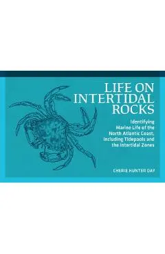 Life on Intertidal Rocks: Identifying Marine Life of the North Atlantic Coast, Including Tidepools and the Intertidal Zones
