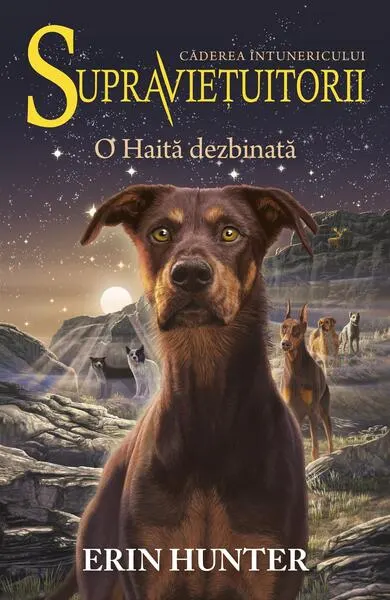 O Haită dezbinată. Supraviețuitorii (Vol. 7) - Paperback brosat - Erin Hunter