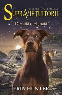 O Haită dezbinată. Supraviețuitorii (Vol. 7) - Paperback brosat - Erin Hunter