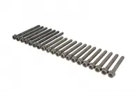 Set Surub Chiulasa Potrivit Ford Galaxy I, Galaxy Mk I; Seat Alhambra, Leon; Vw Bora, Bora I, California T4 Camper, Golf Iv, New Beetle, Sharan 2.8 3.2 03.99-03.10