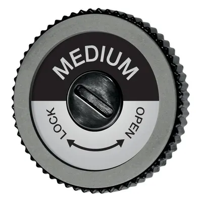 Disc diamantat SWIX TA3013M EVO Spare Disc Medium